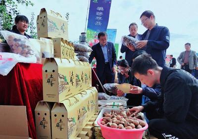 線上線下銷售火爆，食品消費新趨勢解讀