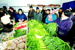 便民直銷惠民生，綠色通道連城鄉——哈密25家便民直銷店助力農副產品銷售