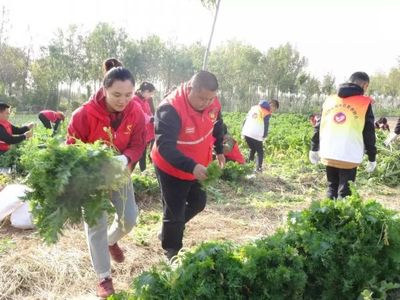 希望的田野 青春助力脫貧攻堅，志愿服務與食品銷售的雙贏之路
