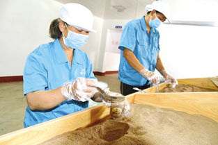 堅(jiān)定信心迎難而上，以食品銷售為支點(diǎn)決戰(zhàn)決勝脫貧攻堅(jiān)